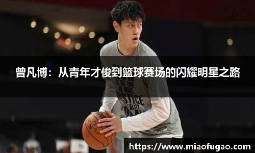 中国·BB贝博艾弗森