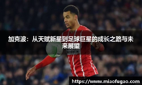 ballbet贝博·(中国)艾弗森官网