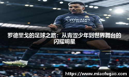 BB贝博艾弗森体育